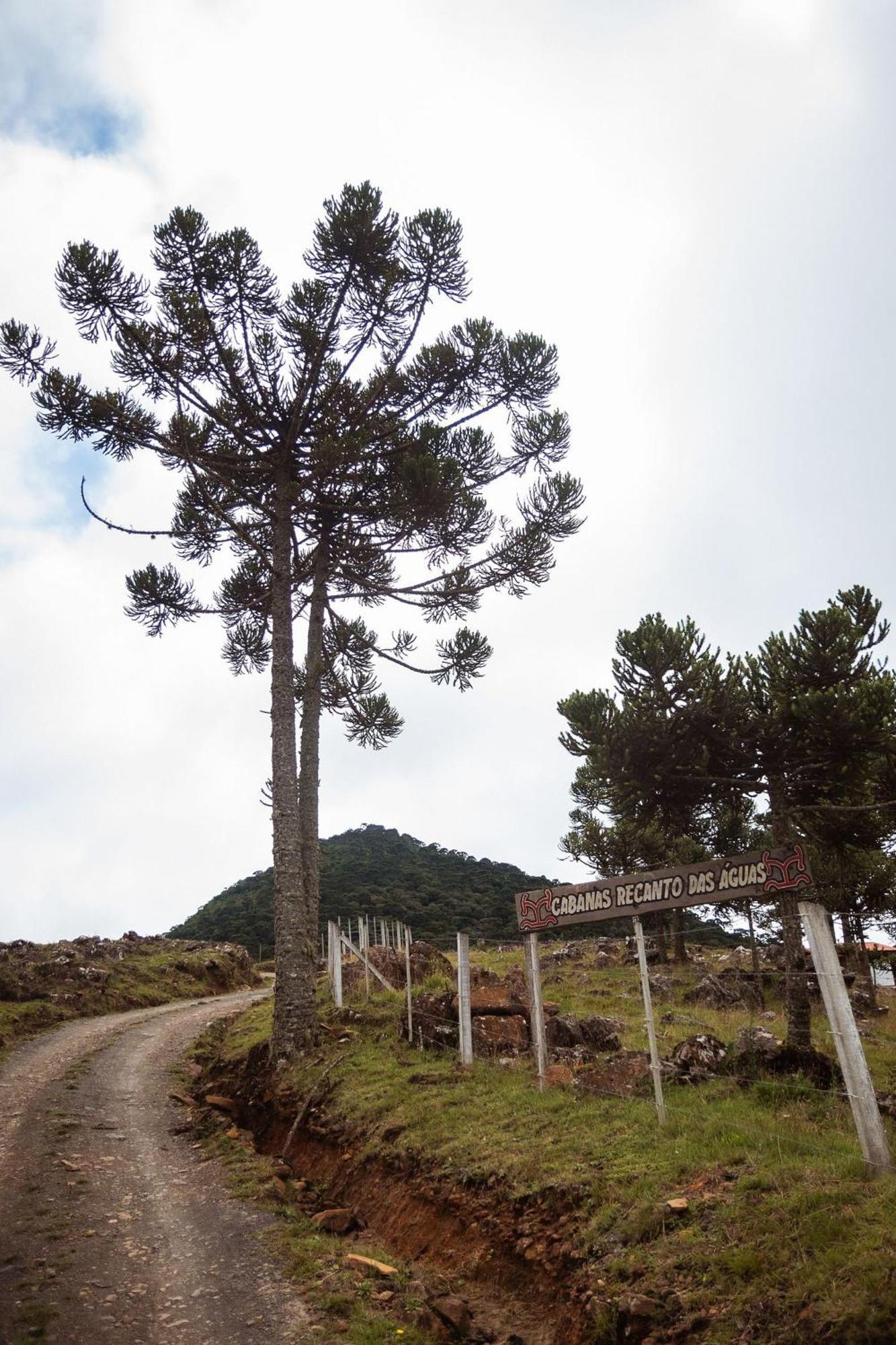 Recanto Das Aguas - Urubici - Sc Extérieur photo